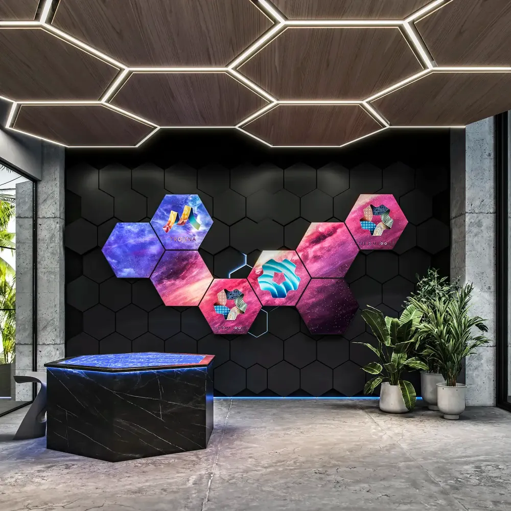 NEOM futuristic development project visualization