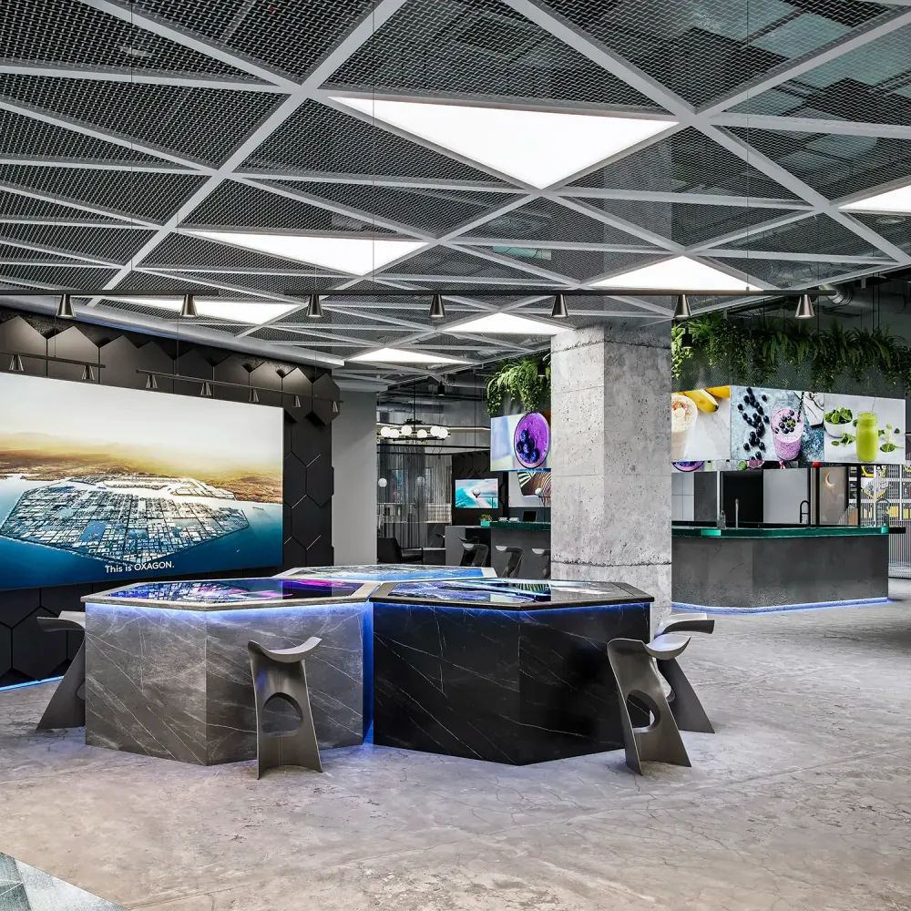 NEOM futuristic development project visualization